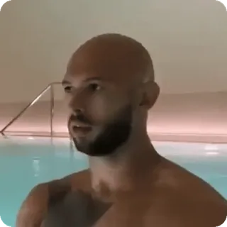 🤨 Andrew Tate мужчина, человек, лысый, борода, бассейн whatsapp sticker