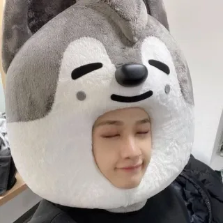 🧸 telegram sticker