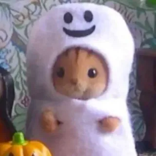 😊 gatto, fantasma, halloween, costume, carino, animale, animale domestico telegram sticker