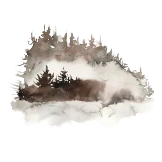 🌫 숲, 나무, 수채화, 자연, 풍경 telegram sticker