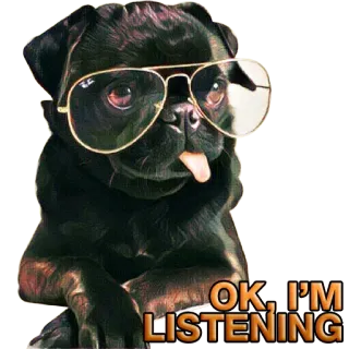 😌 OK, I'M LISTENING 개, 퍼그, 듣기, 안경, 멋진, 귀여운, 밈, 웃긴 telegram sticker