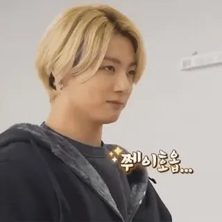 ⛓ 제이호옵... K-Pop, Person, Mann, Promi, Porträt whatsapp sticker