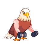 Birds telegram stickers