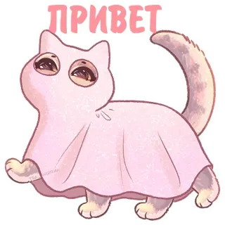 👋 ПРИВЕТ Katze, Geist, Rosa, Süß, Aufkleber, Hallo, Gruß telegram sticker
