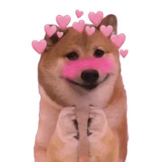 🥰 Doge doge, perro, lindo, corazones, amor, meme telegram sticker