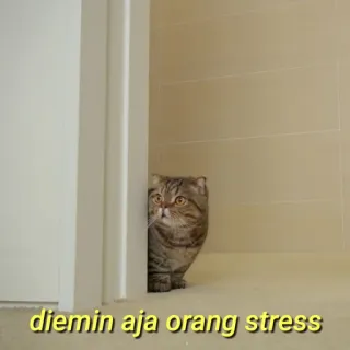 💛 diemin aja orang stress gato, animal, escondido, meme telegram sticker