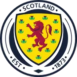 🏴