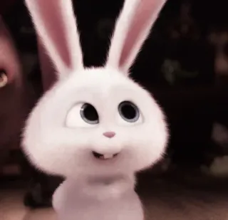 🐰 whatsapp sticker