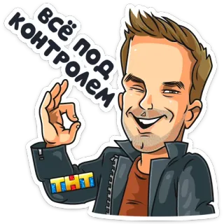 👌 ВСЁ ПОД КОНТРОЛЕМ man, cartoon, ok gebaar, alles onder controle telegram sticker