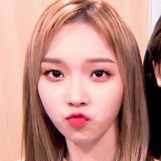 🌸 whatsapp sticker