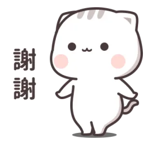 🙃 謝謝 Katze, süß, danke, Kätzchen, Tier telegram sticker