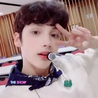 ✌️ The Show THE SHOW kpop, cantante, maschio, idol, musica, persona telegram sticker