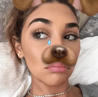 🐞 женщина, фильтр, лицо, собака, селфи, макияж whatsapp sticker