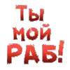 meow ➜ @emoji1 telegram emojis 👍