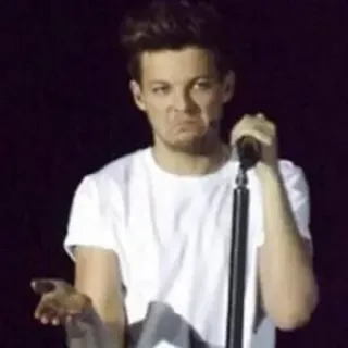 🤨 Niall Horan ナイル・ホーラン, ワン・ダイレクション, 歌手, 音楽, 変顔, セレブ telegram sticker