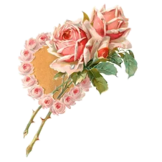 🌷 กุหลาบ, ดอกไม้, ลายดอกไม้, สติกเกอร์, วินเทจ, โรแมนติก, สีชมพู, ธรรมชาติ telegram sticker