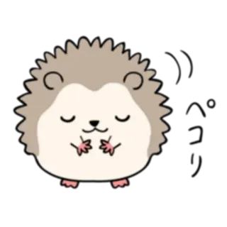 🙏 erizo, animal, lindo, kawaii, pegatina telegram sticker