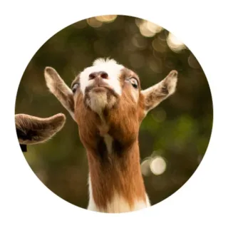 🤔 animal, goat, brown, funny, cute telegram sticker