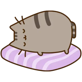 😴 Pusheen 猫, 可愛い, 眠い, 子猫, 動物, 枕 telegram sticker