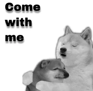 😂 Come with me doge, perro, meme, abrazo, lindo telegram sticker