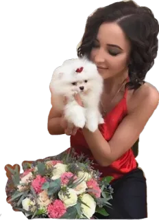 🐶 женщина, щенок, цветы, красный топ, букет, питомец, животное, портрет telegram sticker