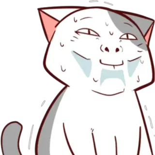 😰 mèo, meme, hài hước, đổ mồ hôi, hoạt hình, động vật, hình minh họa telegram sticker