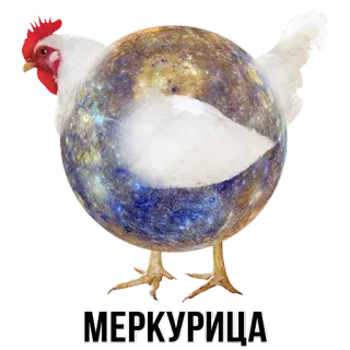 🐔 МЕРКУРИЦА pollo, pianeta, mercurio, animale, uccello, spazio, spazio telegram sticker