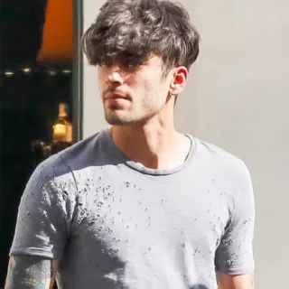 👑 Zayn Malik Musiker, Sänger, Promi, Mann, Zayn Malik, Person telegram sticker