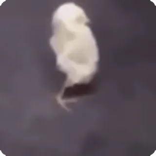 🤑
