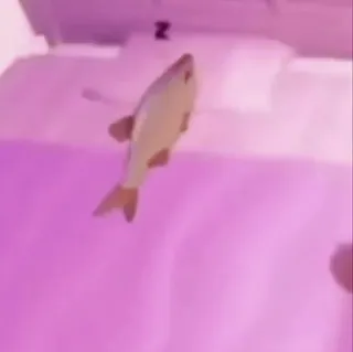 🤩 poisson, animal, aquatique, eau, nage whatsapp sticker
