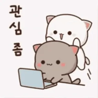 🎈 관심좀 kat, kawaii, laptop, schattig, aandacht whatsapp sticker