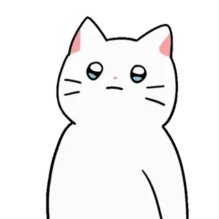 💬 gato, animal, blanco, lindo, dibujo animado, pegatina whatsapp sticker