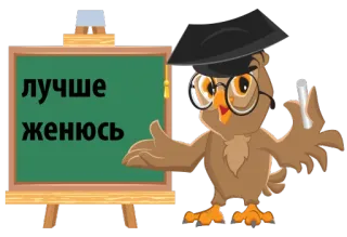 😲 лучше женюсь coruja, lousa, professor, educação, texto russo, casamento whatsapp sticker