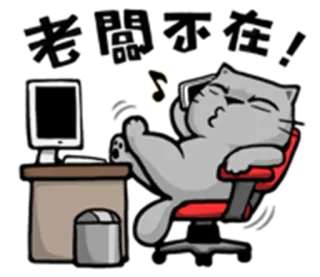 🎶 Katze, Computer, Musik, faul, Büro, Stuhl whatsapp sticker