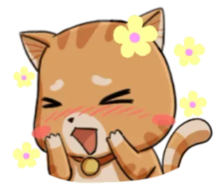 😆 Katze, Tier, Blume, süß, kawaii, Haustier telegram sticker