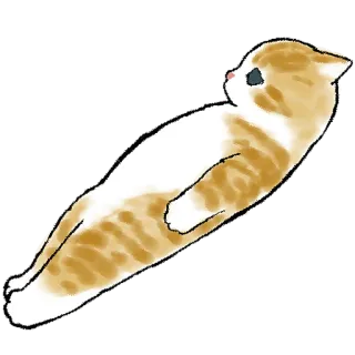 😐 猫, 小猫, 可爱, 动物, 宠物, 猫科动物, 懒, 家猫 telegram sticker