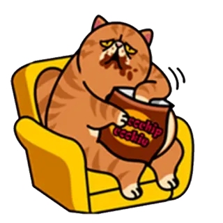 🍟 scchip cookie кот, печенье, ест, ленивый, диван, еда, смешной, мультфильм whatsapp sticker