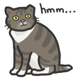 🐱 hmm... gato, hmm, pensando, mascota, animal, pegatina telegram sticker