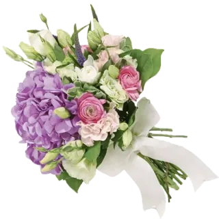 🌸 ดอกไม้, ช่อดอกไม้, การจัดดอกไม้, ไฮเดรนเยีย, แรนังคูลัส, ริบบิ้นสีขาว, การเฉลิมฉลอง, ของขวัญ whatsapp sticker