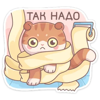 ☹️ ТАК НАДО кот, туалетная бумага, смешной, милый, мем, русский, текст telegram sticker