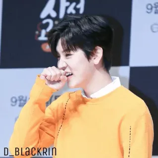 ✨ D_BLACKRIN person, porträt, koreanisch, promi, lächeln, mann telegram sticker
