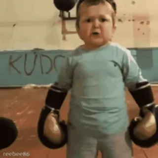 📱 Hasbulla Magomedov Boxen, Handschuhe, Kind, Sportler, Kampf, Sport telegram sticker