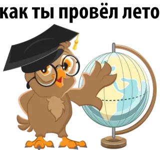 ✈️ как ты провёл лето coruja, globo, verão, educação, russo, pergunta, pássaro, geografia whatsapp sticker