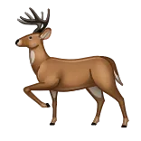🦌