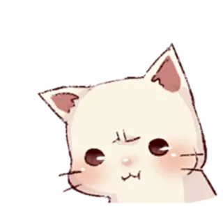 😠 kot, słodki, zwierzę, naklejka, kawaii telegram sticker