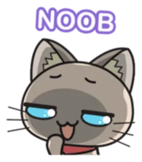 😏 NOOB cat, noob, beginner, gamer, funny, sticker whatsapp sticker