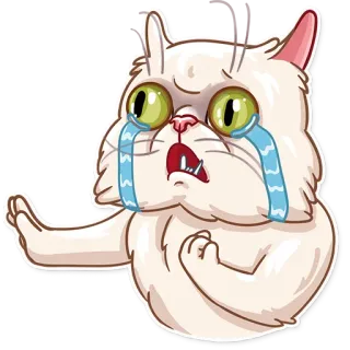 😢 gato, llorando, triste, molesto, dibujos animados, pegatina telegram sticker
