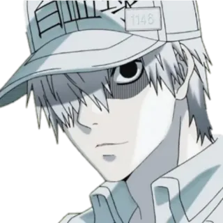 🤨 白血球
1146 Anime, Cells at Work, Weisse Blutzelle, Charakter, Illustration telegram sticker