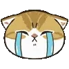 😭