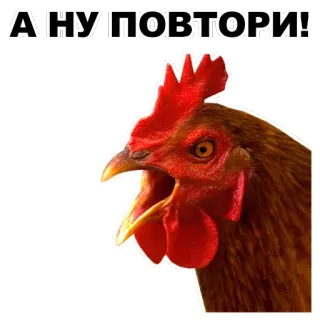 👺 АНУ ПОВТОРИ! poulet, animal, volaille, répétition, défi whatsapp sticker